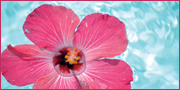 Hotel benessere alle terme