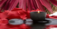 halloween hotel spa terme e benessere